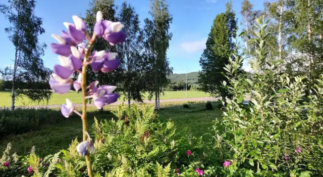 Villa Stolle, Réserver Villa Cottages à Norrland, Cottage