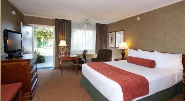 Номер Deluxe Best Western Plus Black Oak