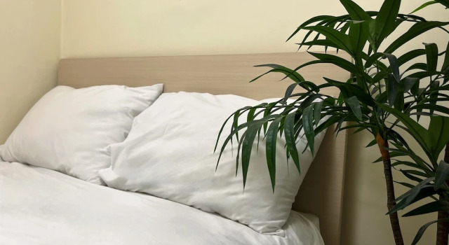 Семейный люкс Jnineguesthouse