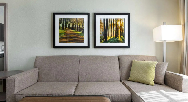 Номер Standard Homewood Suites by Hilton Tallahassee