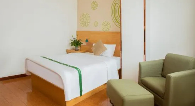 Номер Business GreenTree Inn Luoyang Zhongzheng Street Express Hotel