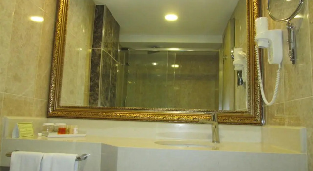 Номер Standard с видом на город Ege Palas Business Hotel