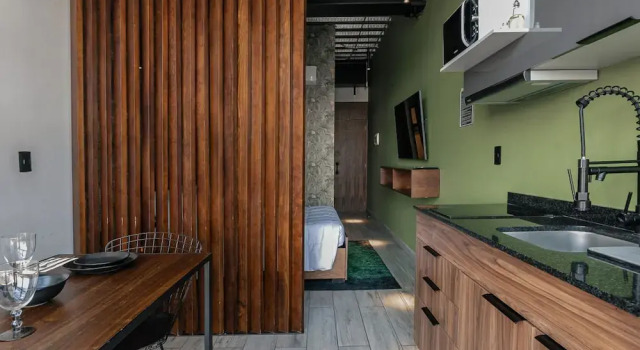 The Jungle Loft Tropical Comfort in a Centric Location With Kitchen, Book Apartment SPA Hotels in Mexico DF, SPA