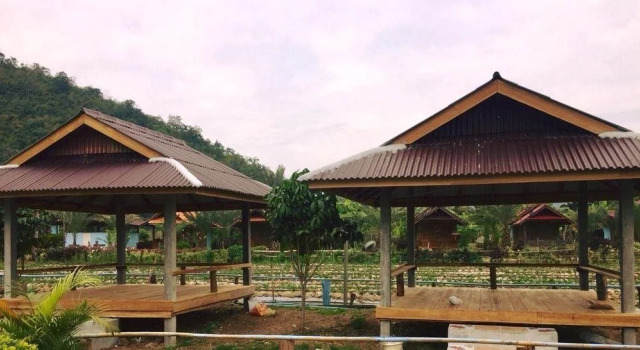 Wongwan Farm, Забронировать Фермерский дом Сирача провинция Чонбури