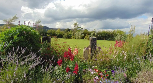 Апартаменты BallyCairn Self Catering Studio