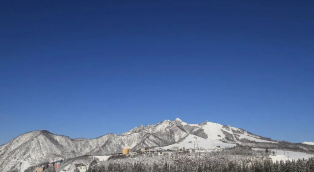 Апартаменты Angel Resort Yuzawa 803