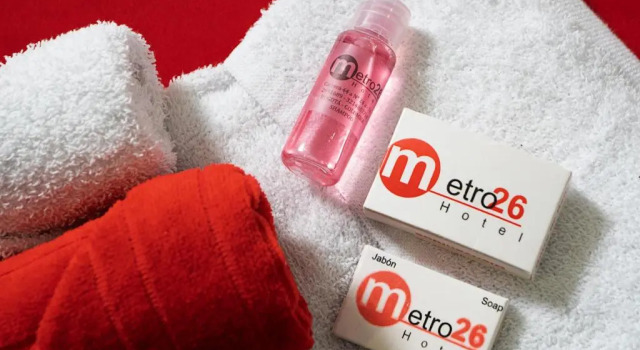 Номер Standard Hotel Metro 26