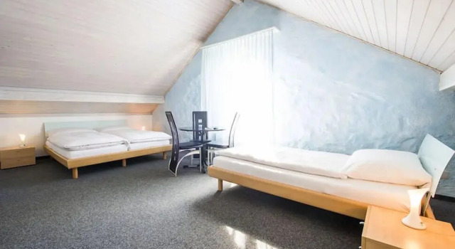 Трёхместный номер Standard Hotel Sternen