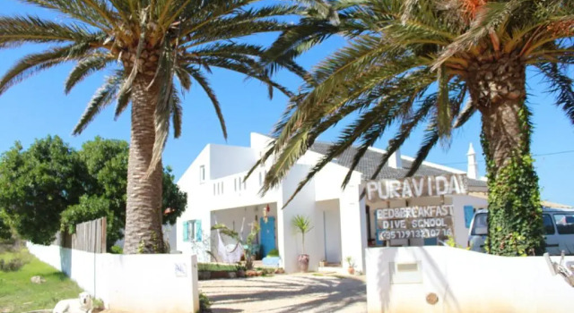 Студия PuraVida Divehouse