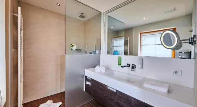 Двухместный номер Standard с видом на озеро Der Birkenhof Spa & Genuss Resort