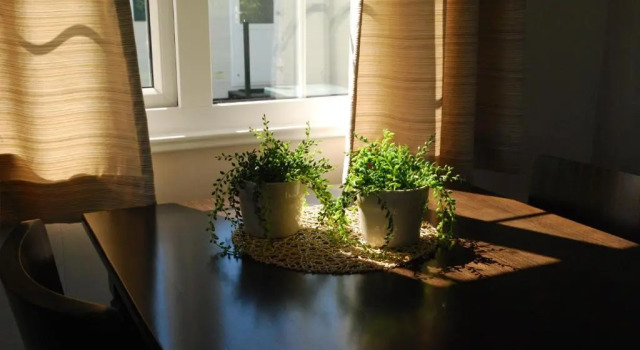 Minicamping De Visser, Book Hotel Zoutelande Walcheren