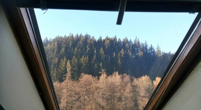 Номер Standard Penzion Havaj