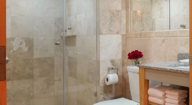 Двухместный полулюкс Alteza Polanco