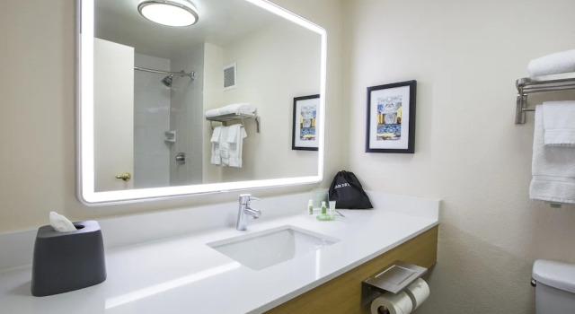 Двухместный номер Premium Holiday Inn Chicago North Shore by IHG