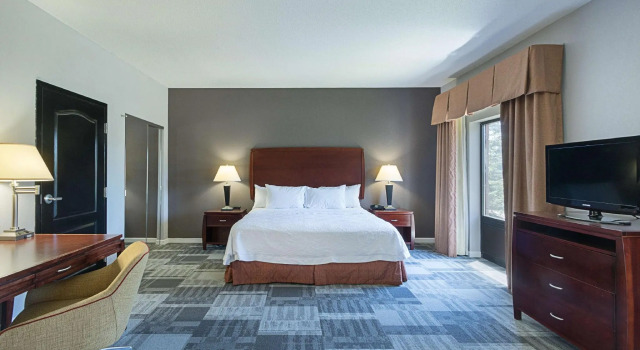 Двухместная студия Hampton Inn and Suites Indianapolis/Brownsburg