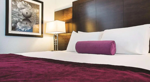 Номер Standard Spark by Hilton San Jose Airport