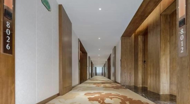 Vienna Classic Hotel (Yongxing Times Square), Buchen Sie Hotel Yongxing Hunan