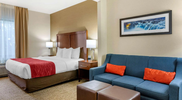 Двухместный люкс Comfort Inn & Suites Jerome - Twin Falls