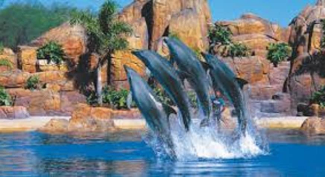 Gold Coast Theme Park Villa, Reserva ahora Villa Gold Coast Queensland