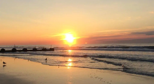 Студия Acacia Beachfront Resort