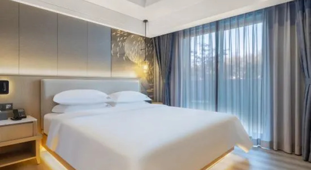 Люкс Business Junlan Hotel