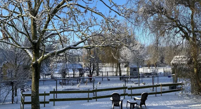 Коттедж Comfort Cozy Holiday Home in Bergen op Zoom with Garden