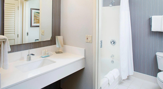 Двухместный номер Standard Courtyard Dallas Addison Quorum Drive