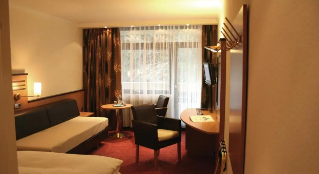 Одноместный номер Standard Hotel Bergfrieden
