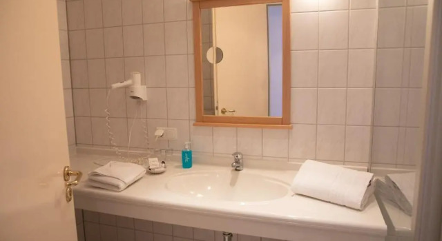 Номер Standard Hotel Waldidyll
