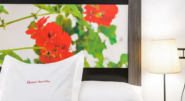 Номер Economy Hotel Sevilla