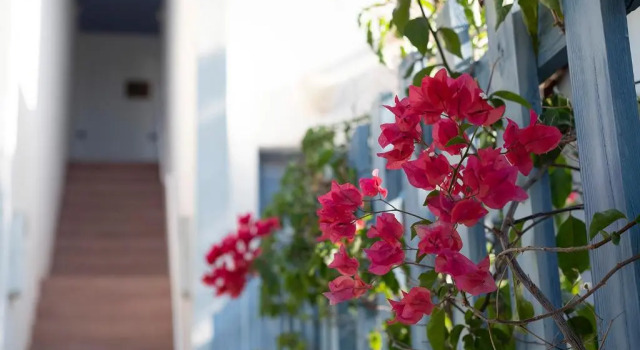 Апартаменты La Posidonia