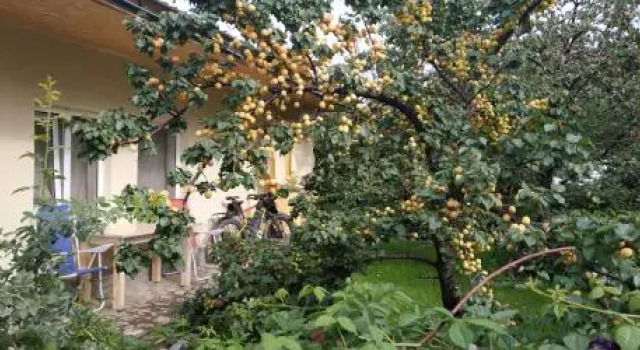 Evergreen Guesthouse, Book Hotel Karakol Issyk-Kul Region
