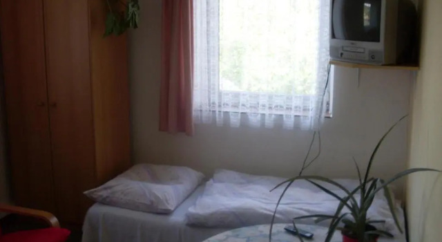 Двухместный номер Standard Pension U Kaštanů