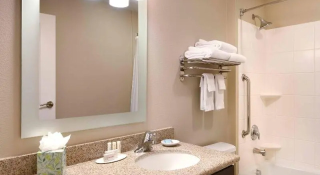 Двухместный люкс TownePlace by Marriott Suites Elko