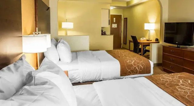 Номер Standard Comfort Suites Anderson-Clemson