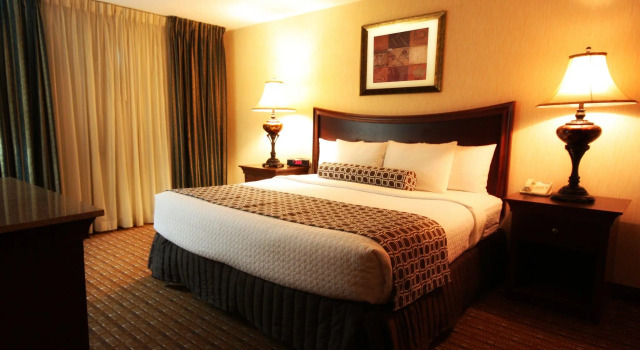 Номер Standard Crowne Plaza Hotel Chicago-Northbrook
