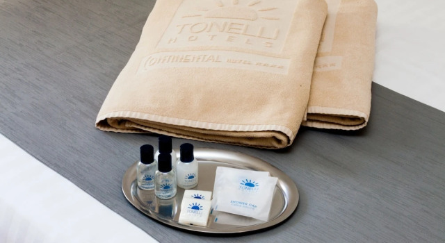 Номер Economy Hotel Continental - Tonelli Hotels