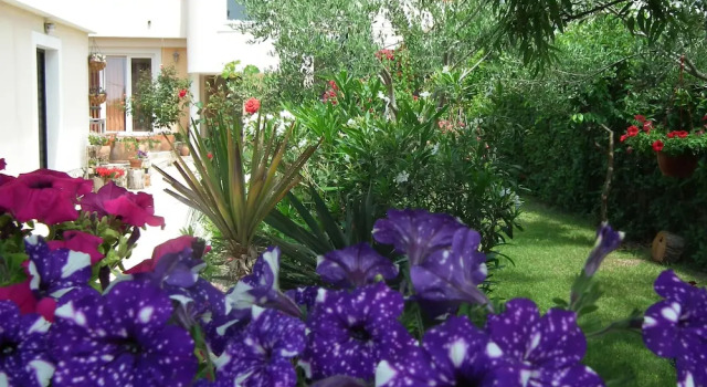 Апартаменты c 1 комнатой Apartments Jadranka