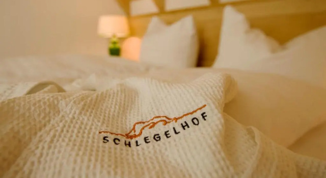 Номер Superior Schlegelhof