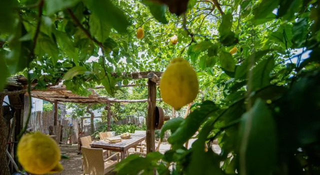 Апартаменты My Home Sorrento
