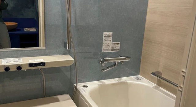 Двухместный номер Deluxe Nikko Garden Hotel
