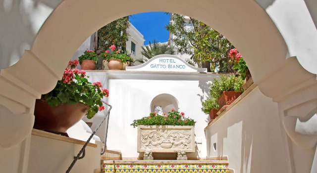 Отель Gatto Bianco Hotel & SPA