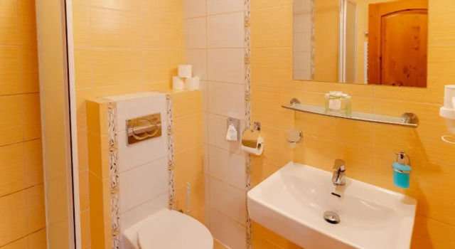 Апартаменты Standard c 1 комнатой Hotel Strachanovka - Jánska Koliba