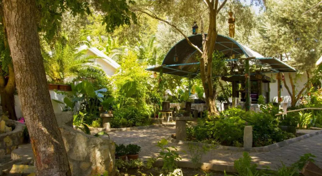 Sunmed Lodge