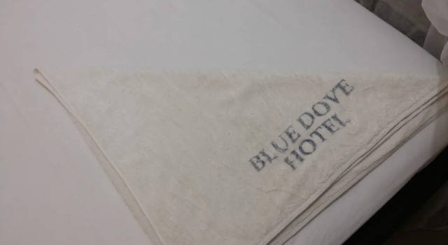Одноместный номер Deluxe Blue Dove Hotel Arua