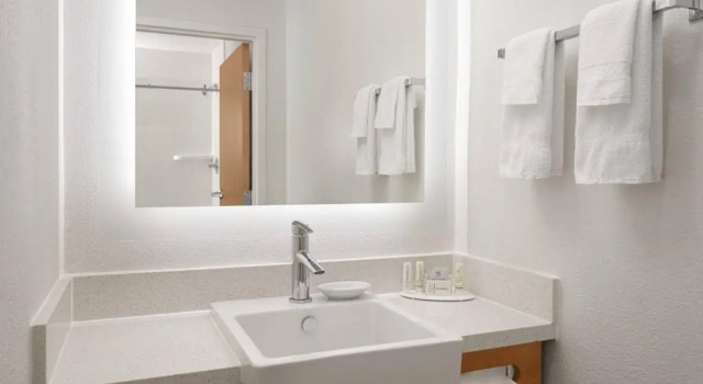 Двухместный люкс c 1 комнатой SpringHill Suites Dallas Arlington North