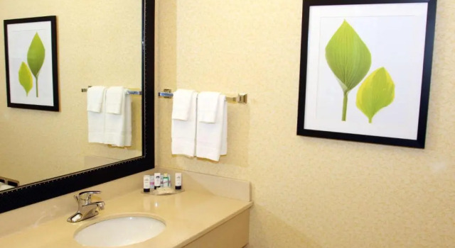 Номер Standard Fairfield Inn and Suites by Marriott Marion