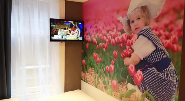 Одноместный номер Standard The Old Nickel Hotel