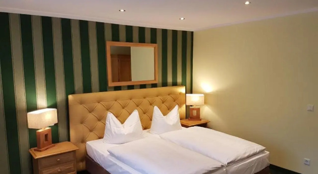 Номер Standard Hotel Fliegerheim