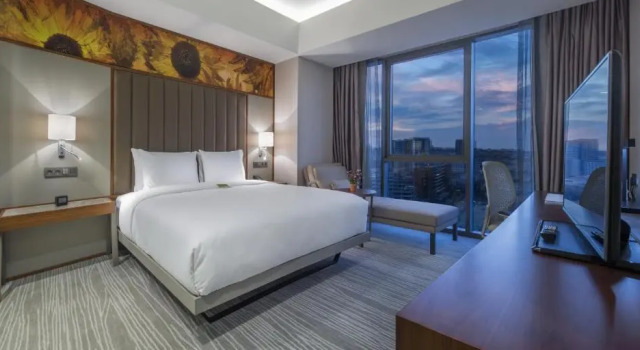Двухместный люкс c 1 комнатой Hilton Garden Inn Istanbul Atatürk Airport